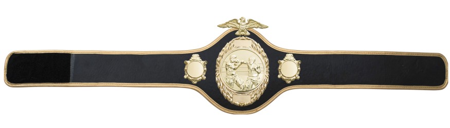 BOXING CHAMPIONSHIP BELT-PRO288/G/BOXG-10 COLOURS BOXING CHAMPIONSHIP BELT-PRO288/G/BOXG-10 COLOURS